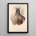 De zoogdieren van Australië Pl075 - John Gould — ingelijst kunstwerk aan de muur
