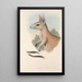 De zoogdieren van Australië Pl088 - John Gould — ingelijst kunstwerk aan de muur
