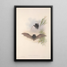 Les mammifères d'Australie Pl150 - John Gould — ingelijst kunstwerk aan de muur