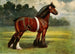Étalon Shire Halstead Royal Duke - John Hanson Walker Jr — weergave van het kunstwerk