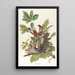 Merle d'Amérique - John James Audubon — ingelijst kunstwerk aan de muur