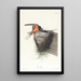 Hirondelle rustique - John James Audubon — ingelijst kunstwerk aan de muur