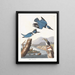 van de Amerikaanse ijsvogel - John James Audubon — ingelijst kunstwerk aan de muur