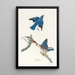 Merlebleu - John James Audubon — weergave van het kunstwerk