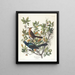 Quiscale à queue de bateau - John James Audubon — ingelijst kunstwerk aan de muur