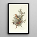 Jaseur des cèdres - John James Audubon — ingelijst kunstwerk aan de muur