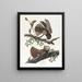 De weduwe van Chuck Wills - John James Audubon — ingelijst kunstwerk aan de muur