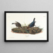 Vacher - John James Audubon — ingelijst kunstwerk aan de muur