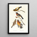 Gros-bec du soir, Gros-bec tacheté - John James Audubon — ingelijst kunstwerk aan de muur