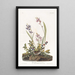 Bruant des champs - John James Audubon — ingelijst kunstwerk aan de muur