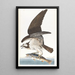 Zeearend - John James Audubon — ingelijst kunstwerk aan de muur