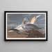 Fou de Bassan - John James Audubon — ingelijst kunstwerk aan de muur