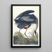 Grote blauwe reiger - John James Audubon — ingelijst kunstwerk aan de muur