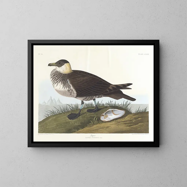 Jager - John James Audubon — ingelijst kunstwerk aan de muur