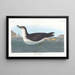 Puffin des Anglais - John James Audubon — ingelijst kunstwerk aan de muur