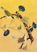 Parulines du Maryland - John James Audubon — weergave van het kunstwerk