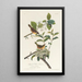 Paruline du Maryland - John James Audubon — ingelijst kunstwerk aan de muur