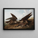 Sperwers - John James Audubon — ingelijst kunstwerk aan de muur