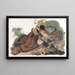 Geelgors met Kuif - John James Audubon — ingelijst kunstwerk aan de muur