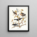 Grakle rouillé - John James Audubon — ingelijst kunstwerk aan de muur
