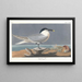 Sterne caugek - John James Audubon — ingelijst kunstwerk aan de muur
