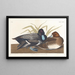 Fuligule milouinan - John James Audubon — ingelijst kunstwerk aan de muur