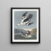 Smew of witte non - John James Audubon — ingelijst kunstwerk aan de muur