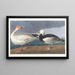 Zwanen - John James Audubon — ingelijst kunstwerk aan de muur