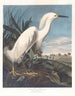 Sneeuwende reiger of witte reiger - John James Audubon — weergave van het kunstwerk