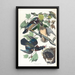 Kanarie zomer of eend - John James Audubon — ingelijst kunstwerk aan de muur