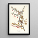 Reproductie van het schilderij Bruant des arbres - John James Audubon
