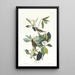 Moucherolle chanteur - John James Audubon — ingelijst kunstwerk aan de muur