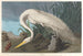 Witte reiger - John James Audubon — weergave van het kunstwerk