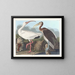 Ibis wit - John James Audubon — ingelijst kunstwerk aan de muur