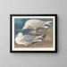 Zilvermeeuw met witte vleugels - John James Audubon — ingelijst kunstwerk aan de muur