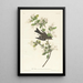 Pioui des bois - John James Audubon — ingelijst kunstwerk aan de muur
