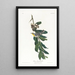 Geelkeelparuline - John James Audubon — ingelijst kunstwerk aan de muur