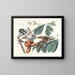 Kwekeling met gele snavel - John James Audubon — ingelijst kunstwerk aan de muur