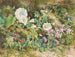 Studie van bloemen - John Jessop Hardwick — weergave van het kunstwerk