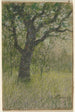 Landschap - John Kavanagh — weergave van het kunstwerk