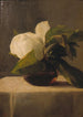 Magnolia - John La Farge — weergave van het kunstwerk