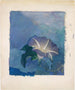 Nachtelijk schilderij - John La Farge — weergave van het kunstwerk
