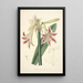 Collectanea botanica Pl12 - John Lindley — ingelijst kunstwerk aan de muur