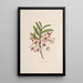 Sertum orchidaceum Une couronne des plus belles fleurs orchidées Pl03 - John Lindley | Reproduction — ingelijst kunstwerk aan de muur