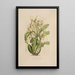 Sertum orchidaceum Une couronne des plus belles fleurs orchidées Pl06 - John Lindley — ingelijst kunstwerk aan de muur