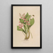 Sertum orchidaceum Une couronne des plus belles fleurs orchidées Pl09 - John Lindley — ingelijst kunstwerk aan de muur
