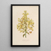 Sertum orchidaceum Une couronne des plus belles fleurs orchidées Pl12 - John Lindley — ingelijst kunstwerk aan de muur