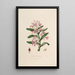 Sertum orchidaceum Une couronne des plus belles fleurs orchidées Pl18 - John Lindley — ingelijst kunstwerk aan de muur