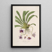 Sertum orchidaceum Une couronne des plus belles fleurs orchidées Pl26 - John Lindley — ingelijst kunstwerk aan de muur