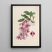 Sertum orchidaceum Une couronne des plus belles fleurs orchidées Pl35 - John Lindley — ingelijst kunstwerk aan de muur
